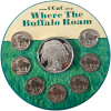 Where The Buffalo Roam - A Coin Art Design by CCaC